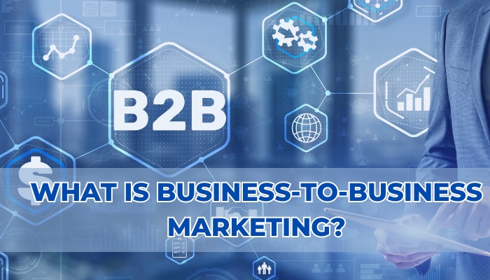 What is Business to Business (b2b) Marketing