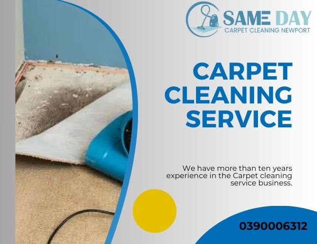 Revitalize Your Home with Expert Carpet Repair in Newport