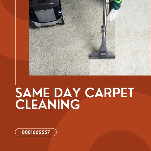 Carpet Cleaning Seaford Rise | Same Day Carpet Cleaning