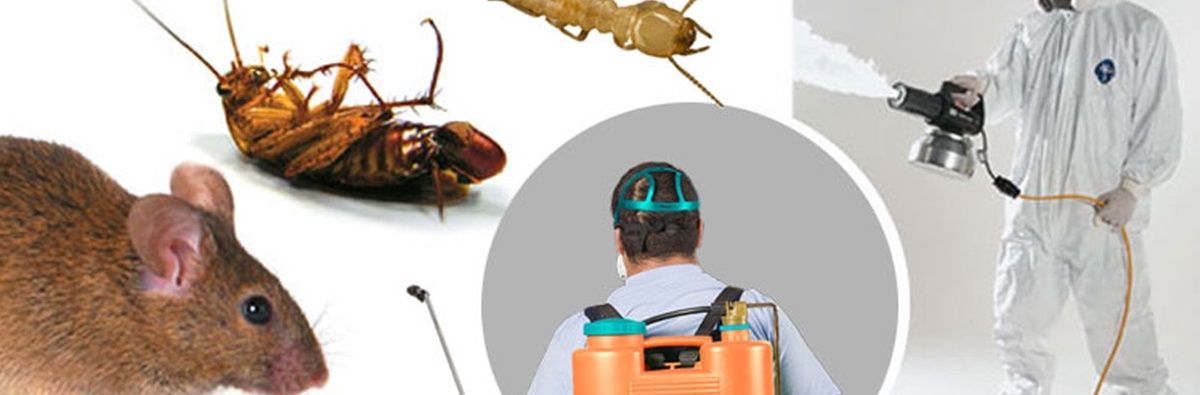 Why Every Commercial Property Needs Emergency Pest Control Services