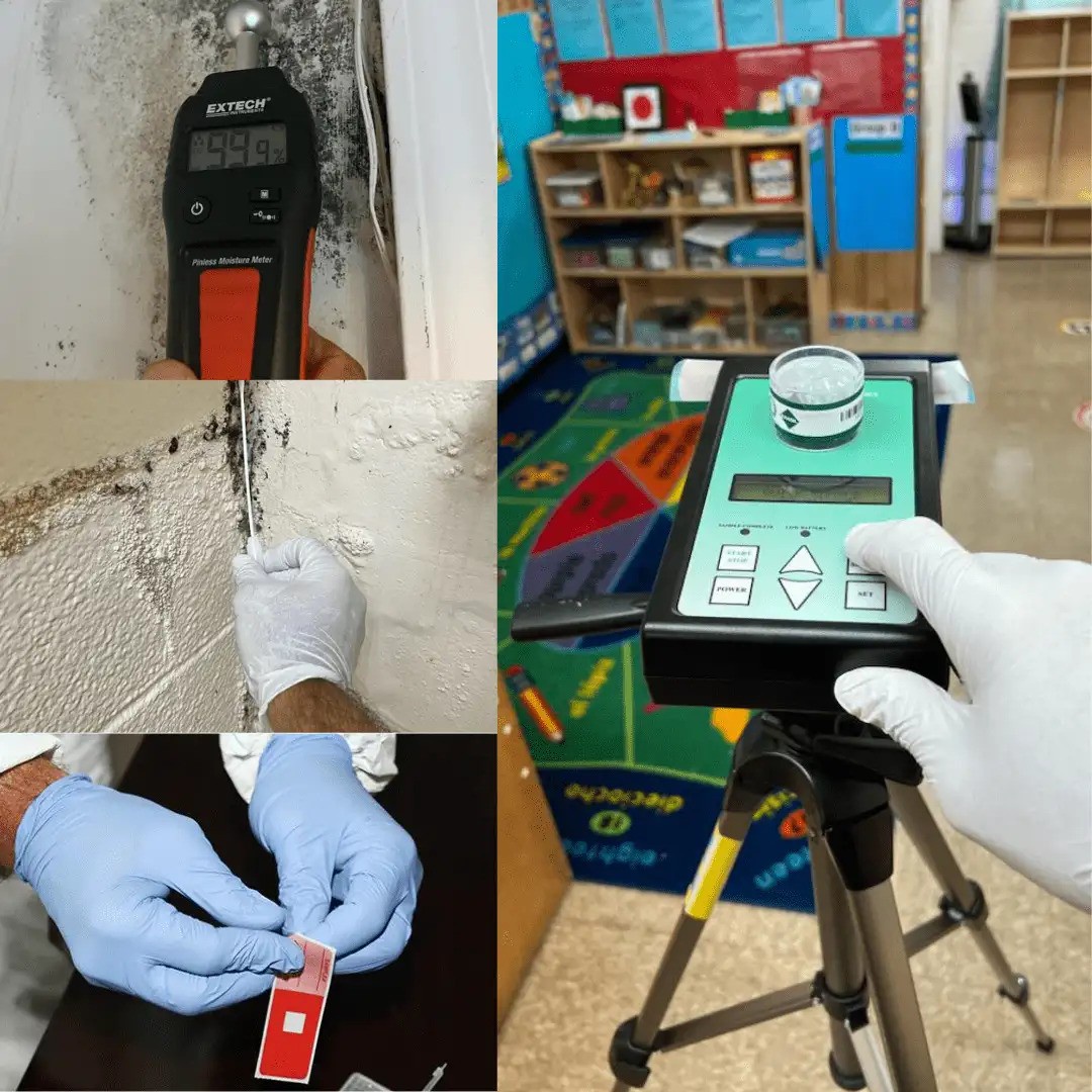 Unveiling the Importance of Quest Testing in Mold Inspection: Ensuring a Safe Environment in Brooklyn, NY