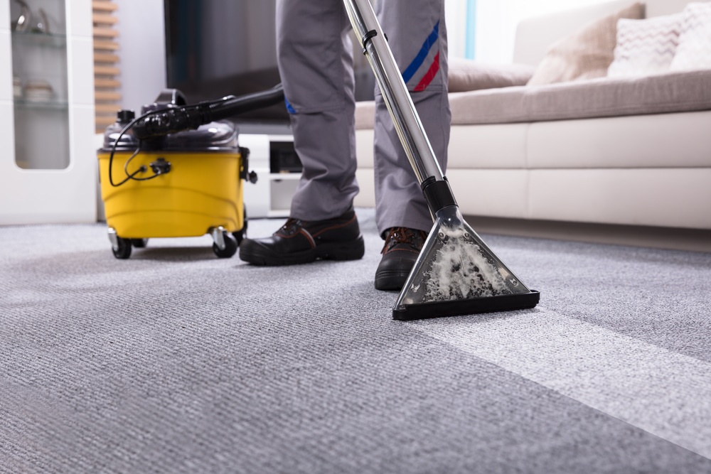 A Happy Home Starts with Clean Carpets: Your Guide to Fresh Living in Henderson