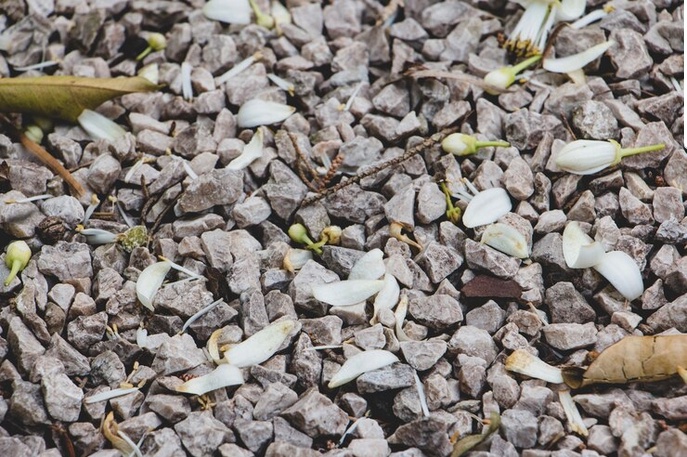 Revolutionizing Construction: Warwick's Premier Recycled Aggregates Supplier