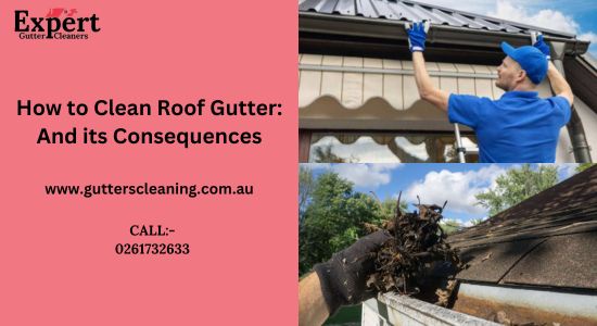 How To Clean Your Roof Gutters ?