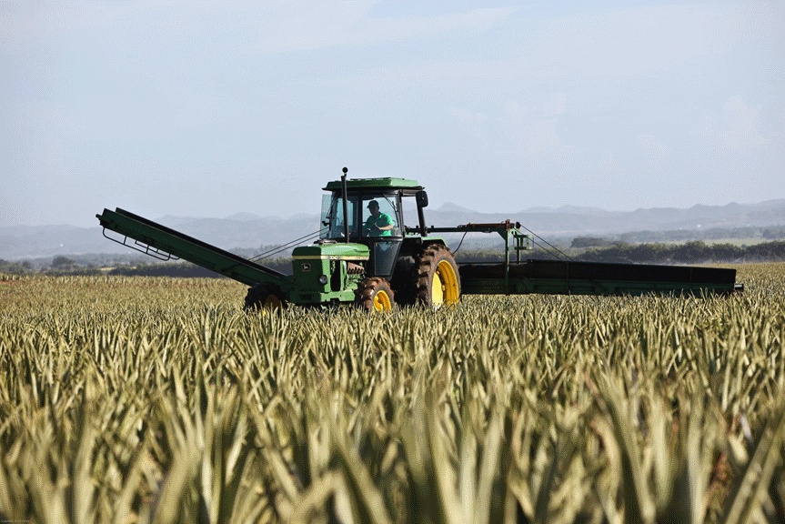 Exploring the Role of Agricultural Oil in Modern Farming Practices