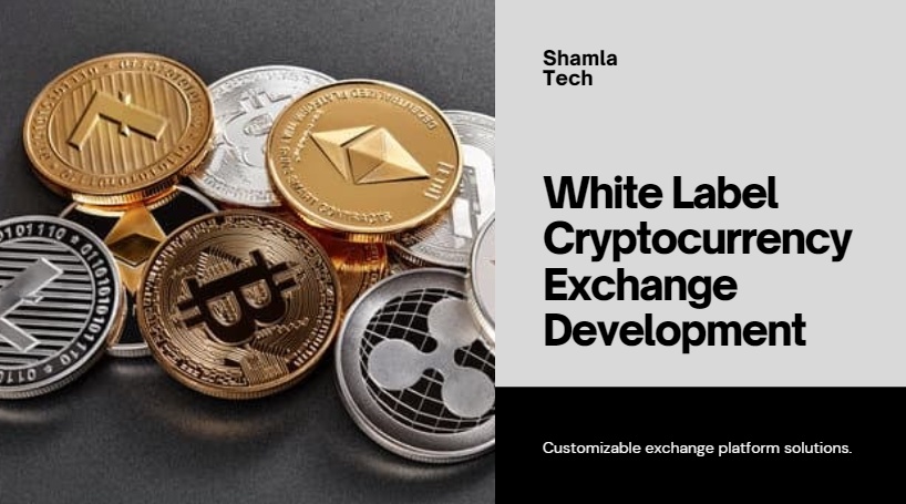 Unveiling the Power of White Label Cryptocurrency Exchange Development