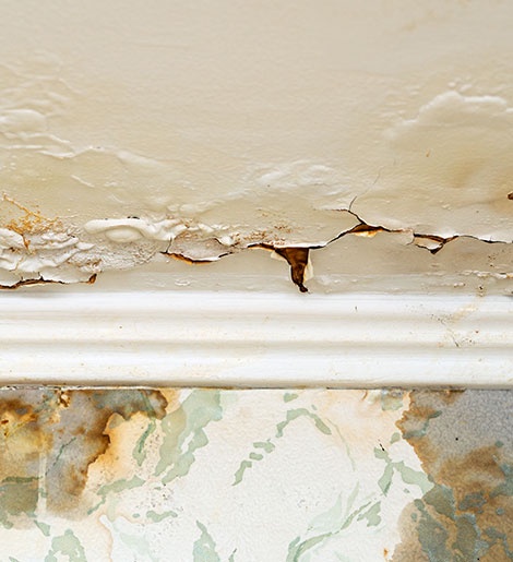 Attic Mold Common Causes and Cures: Mold Inspection Services Experts