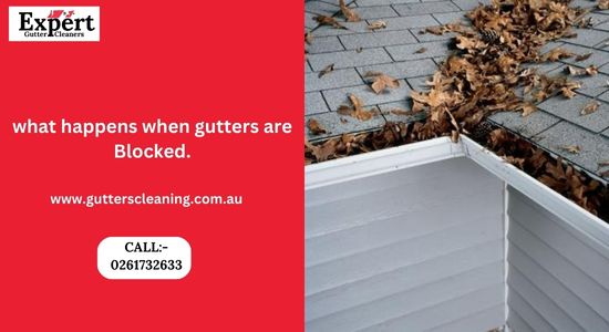 What happens when Gutters are Blocked ?