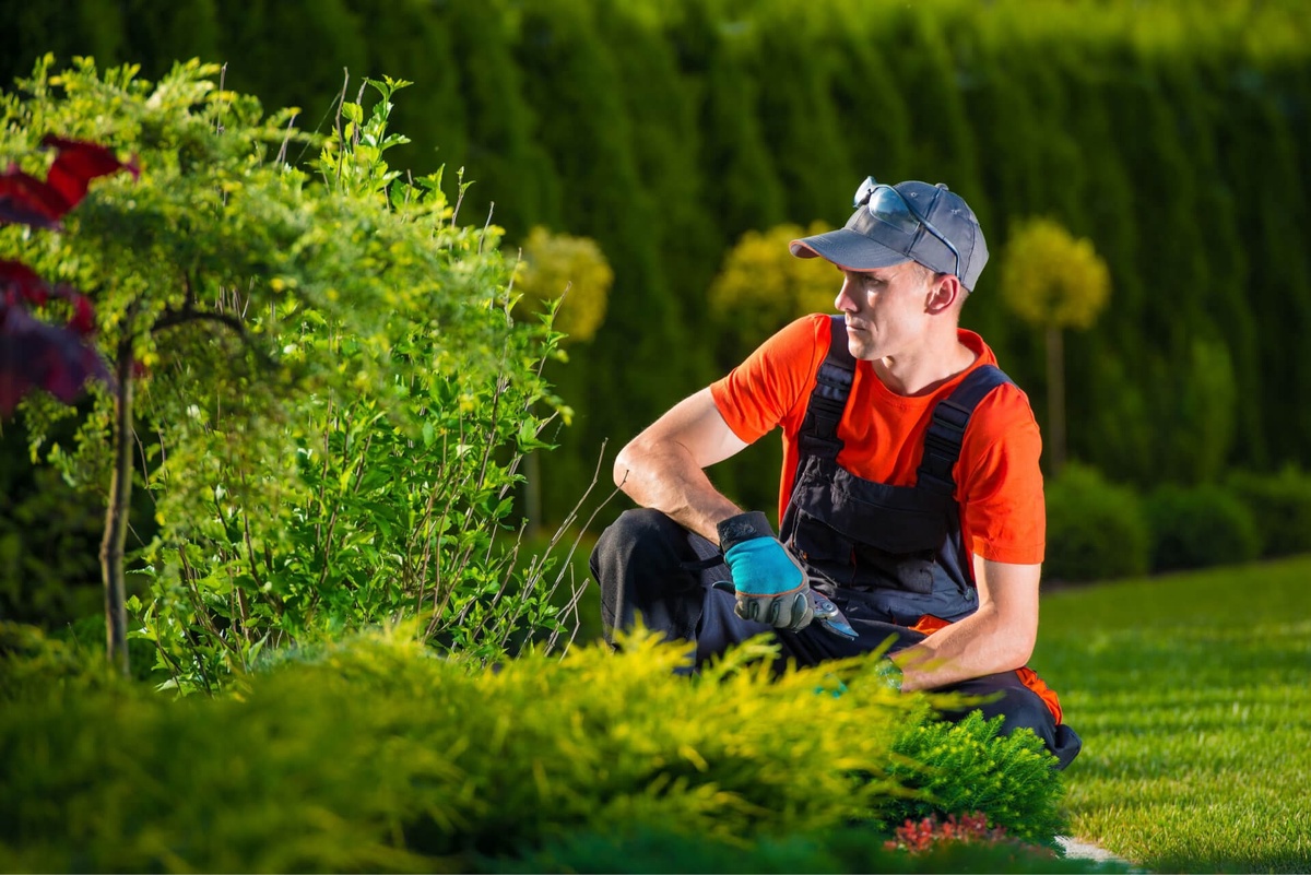 How Garden Maintenance Services Can Transform Your Landscape