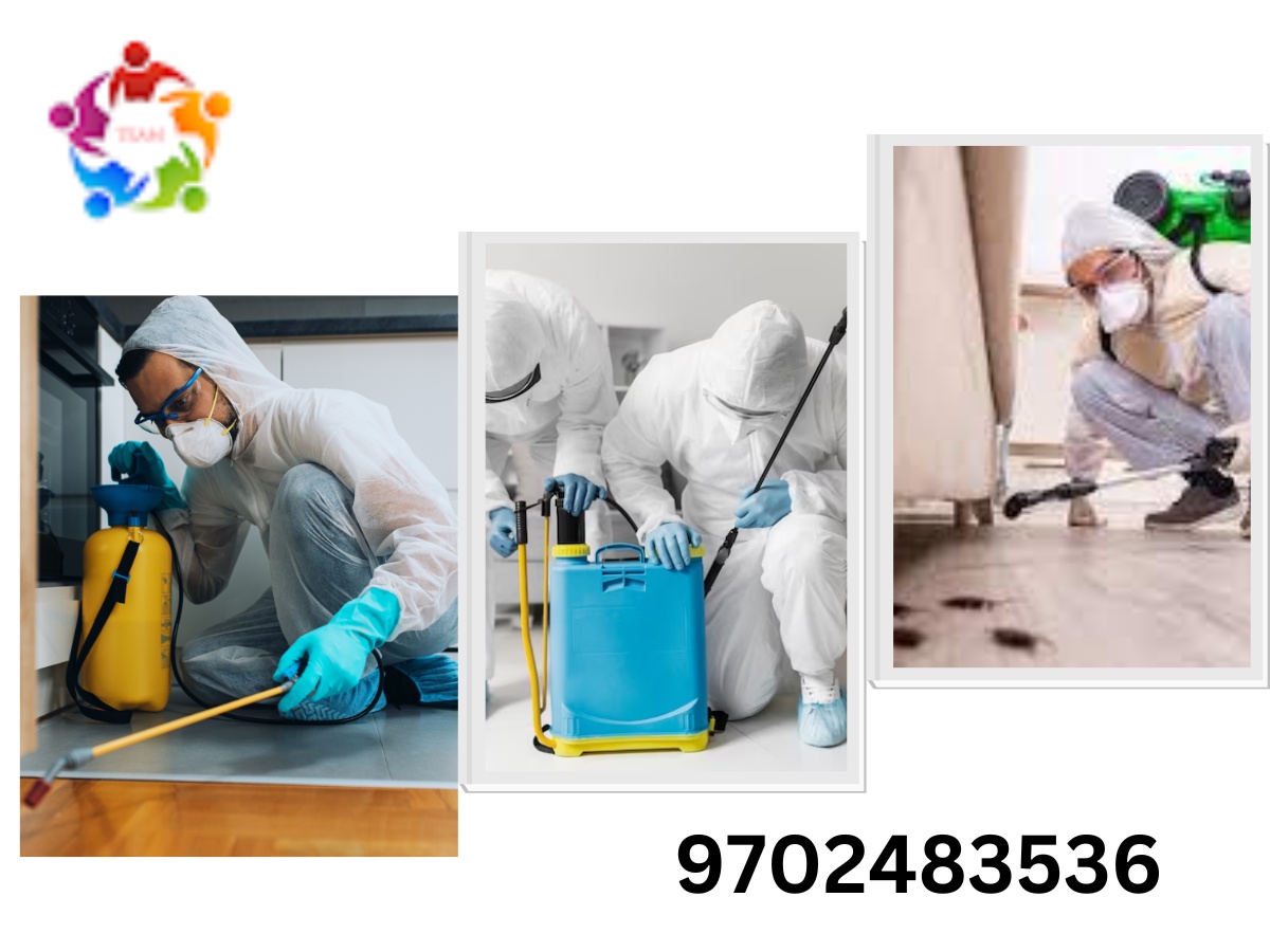 Enhancing Quality of Life with Comprehensive Residential Pest Control Services in Bhandup West
