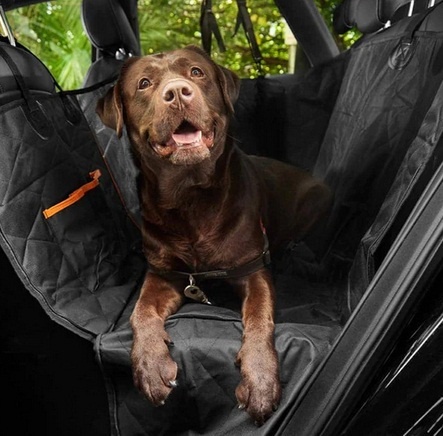 Long-Distance Traveling with Dogs: Comfortable Top Dog Car Seats for Road Trips