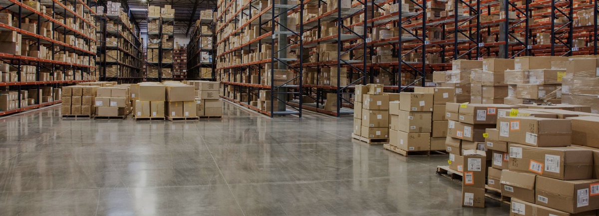 Revolutionizing E-commerce Logistics: The Future of Warehousing Services in the Digital Age