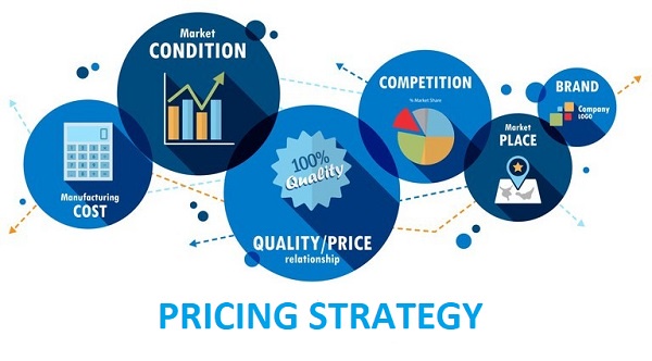 Smart Pricing Strategies for Every Stage of the Product Lifecycle