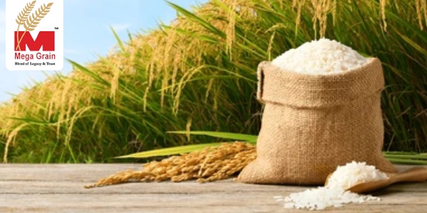 Buy Basmati Rice Wholesale: Unlocking Quality and Savings