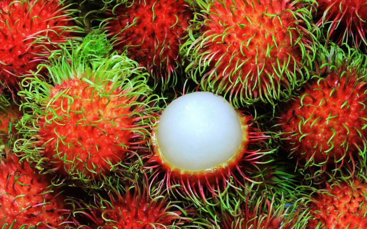 The Enchanting Rambutan: A Spiky Delight from the Tropics