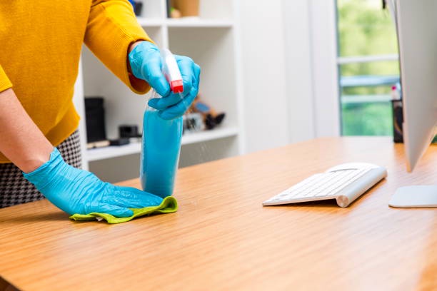 Need a Tidy Yard? How Can Affordable Cleaning Services Help?