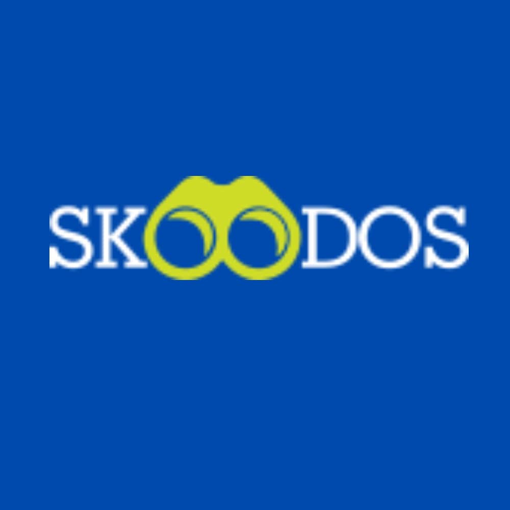 Navigating the Educational Landscape with Skoodos: A Parent's Guide to Finding the Perfect School