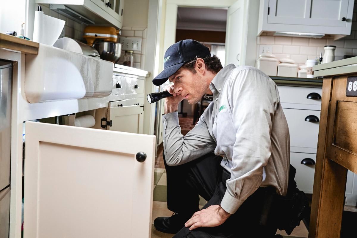 Why Pest Inspections are Essential Before Buying a New Home