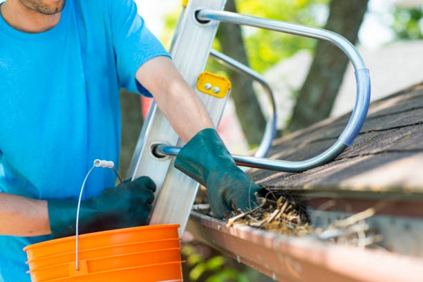 Clean Gutters Before vs. After Leaves Fall? Gutter Cleaning Services