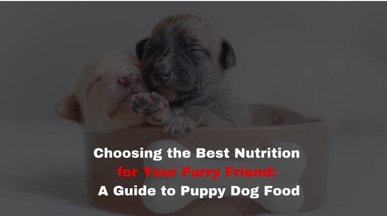 Choosing the Best Nutrition for Your Furry Friend: A Guide to Puppy Dog Food