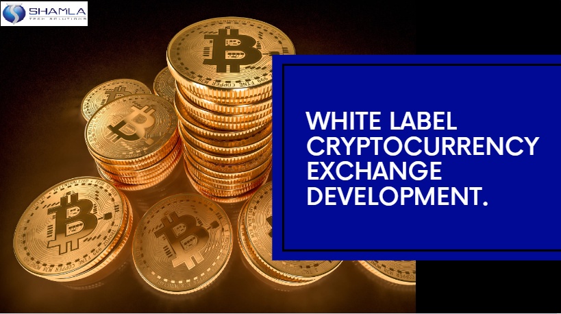 Unveiling the World of White Label Cryptocurrency Exchange Development