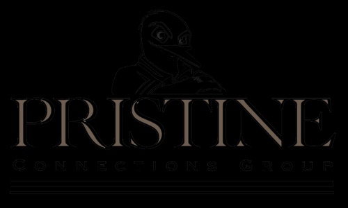 Unveiling Pristine Connections Group: Redefining Collaboration and Innovation