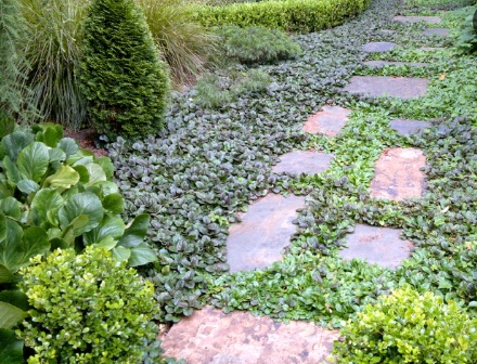 Transform Your Outdoor Spaces with Noida Greens Nursery