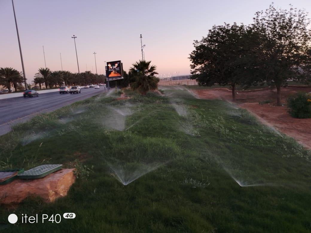 The Role of Advanced Irrigation Systems in Saudi Arabia