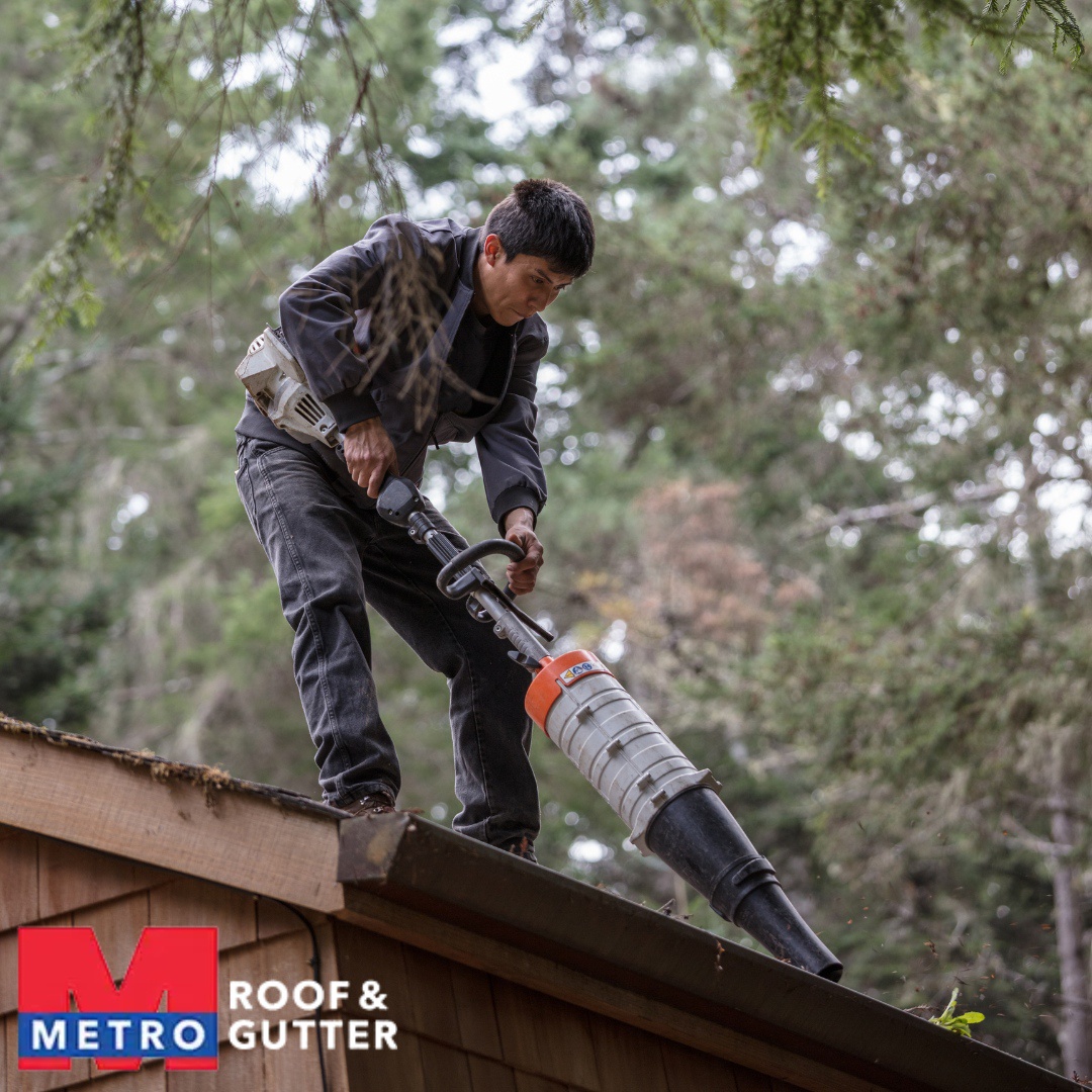 Professional Gutter Cleaning: Benefits for Your Home's Health