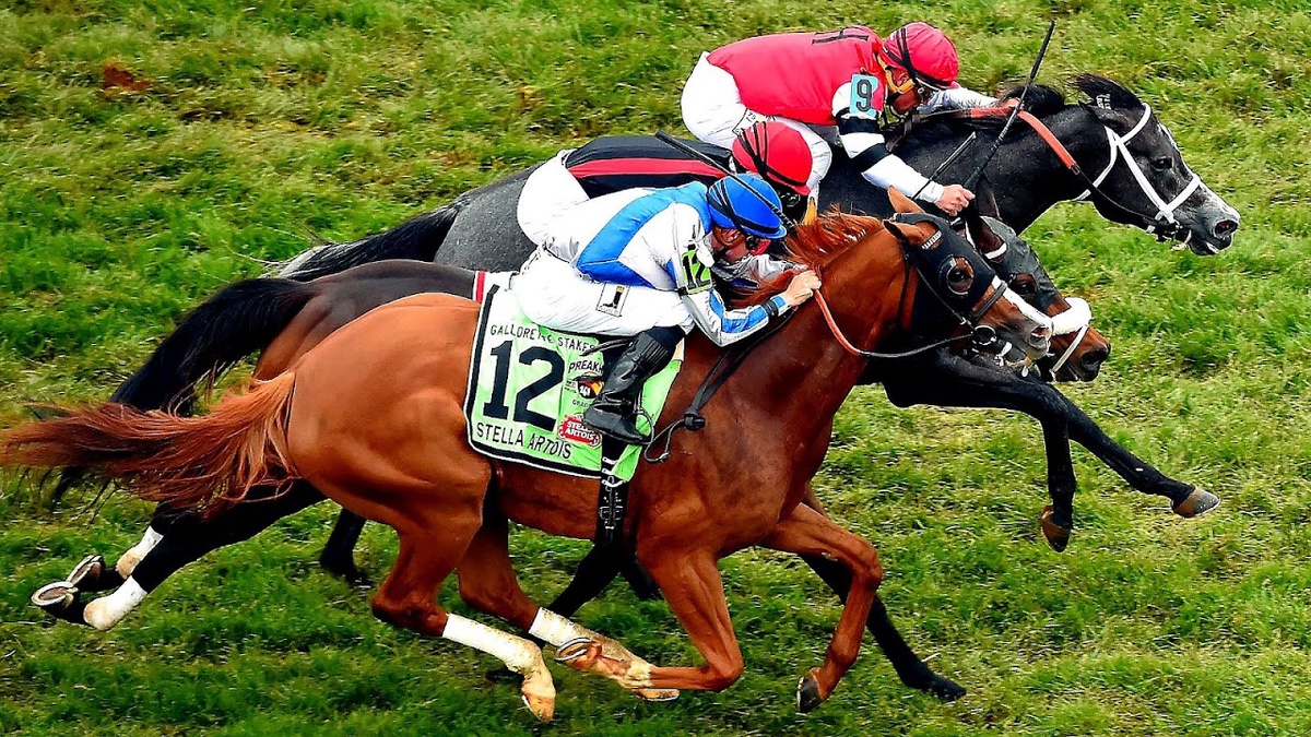 The Crucial Role of Digital Asset Management (DAM) Strategies in Race Horse Syndication