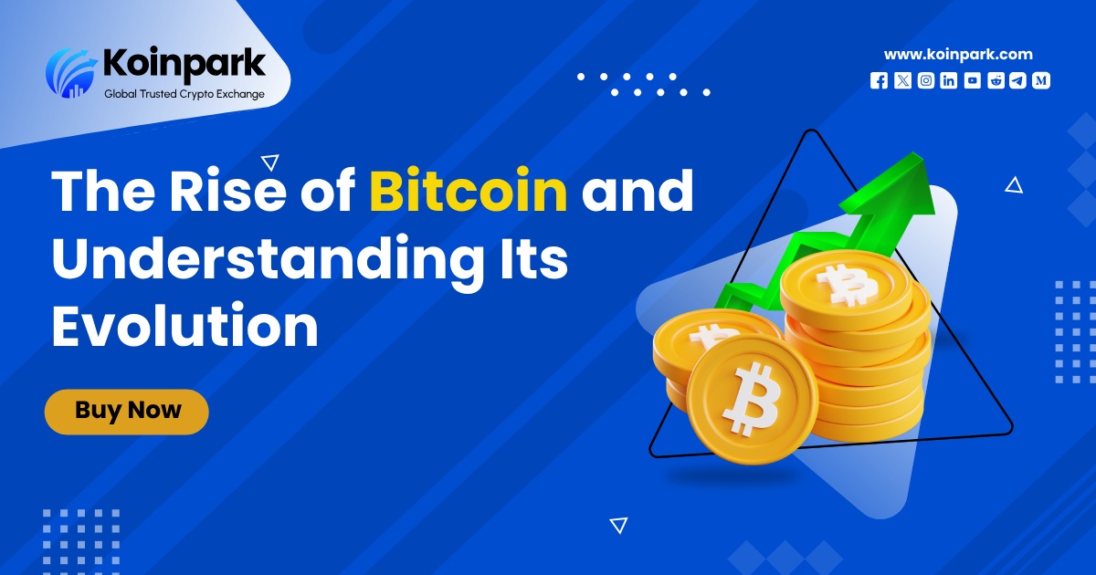 The Rise of Bitcoin and Understanding Its Evolution