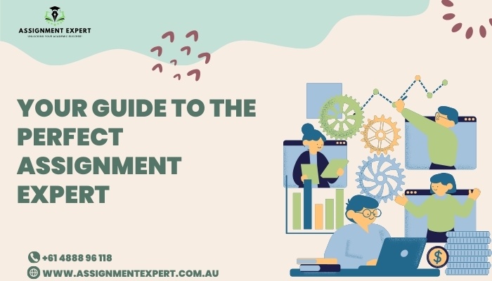 Your Guide to the Perfect Assignment Expert