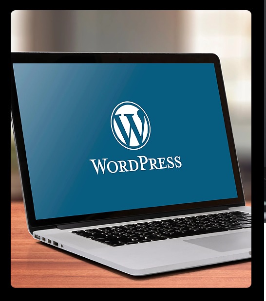 Things You Should Know Before Hiring a WordPress Consulting Services