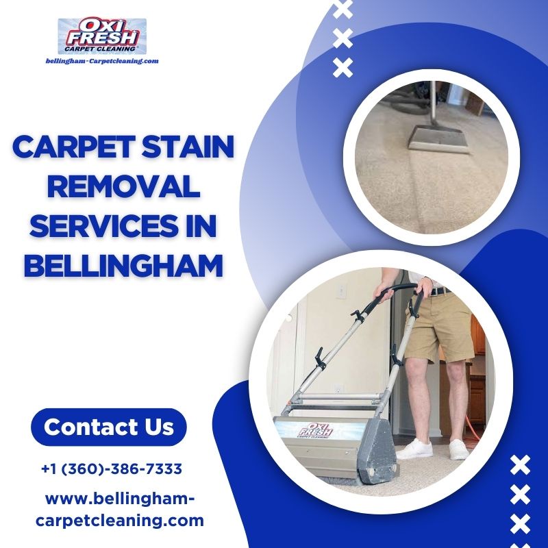 Reviving Carpets: The Ultimate Guide to Stain Removal Services in Bellingham