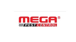 Effective Pest Control Solutions for Abbotsford and Surrey: Megapestcontrol's Comprehensive Approach
