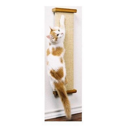 How to Introduce Your Cat to a Smart Scratching Post