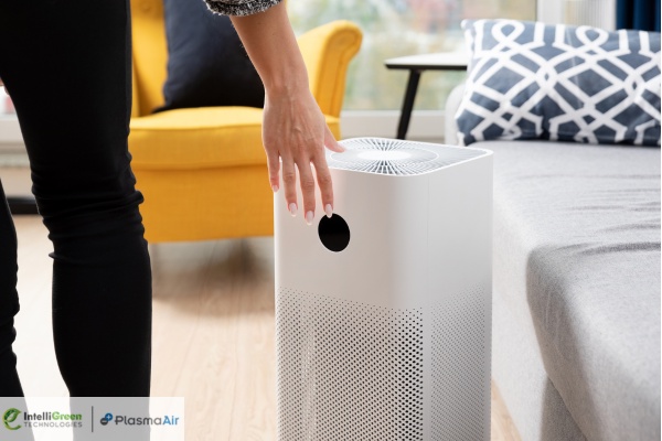 Why do You Have to Invest in an Industrial Air Purifier?