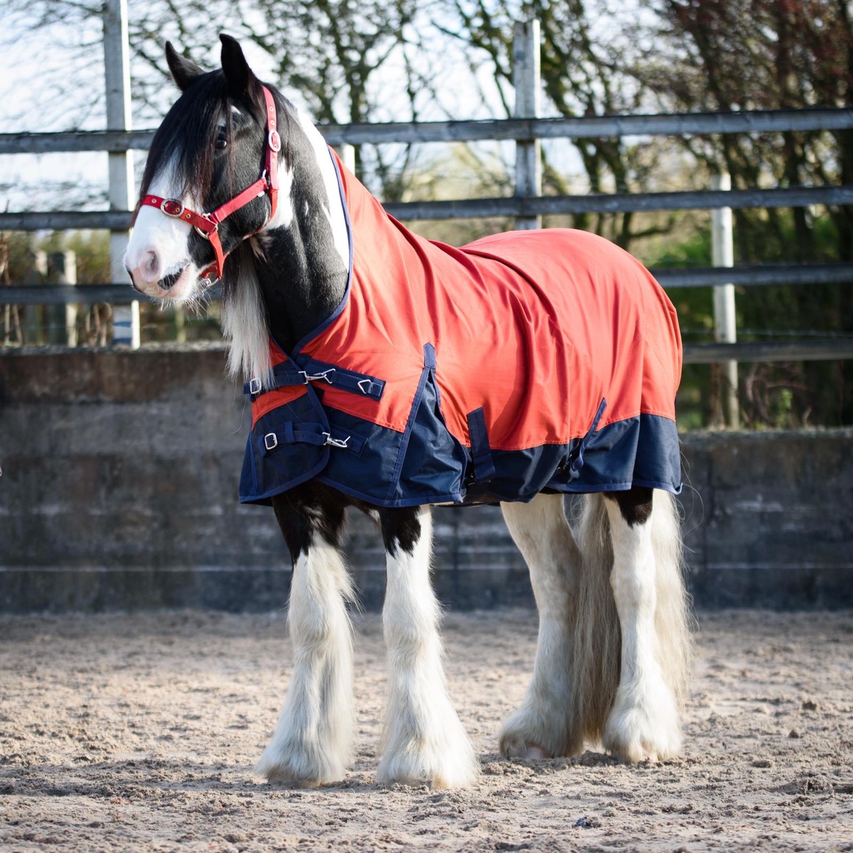 The Ultimate Guide to Choosing the Perfect Lightweight Turnout Rug
