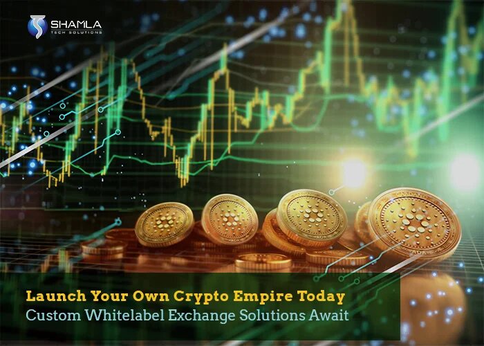 Top 10 White Label Cryptocurrency Exchange Development Solutions for Seamless Trading