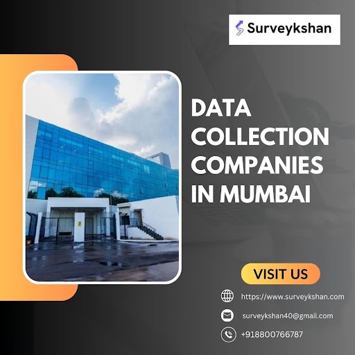 Unveiling Mumbai's Data Collection Companies: Navigating the Information Landscape