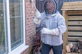 Harrogate Homes Under Siege? Expert Wasp Control Awaits!