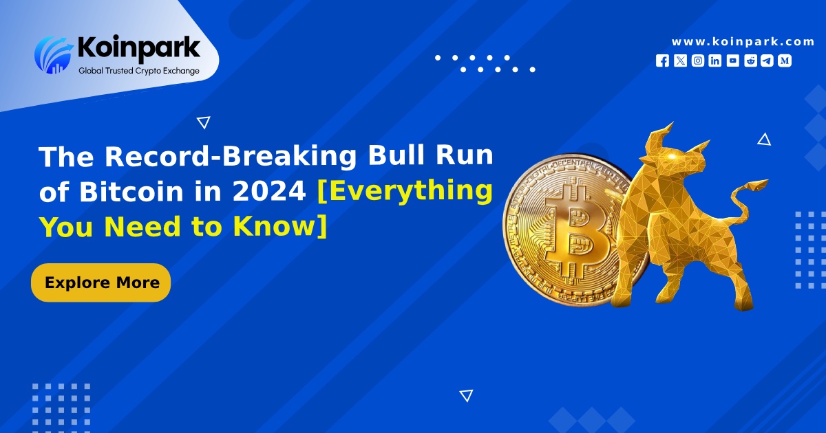 The Record-Breaking Bull Run of Bitcoin in 2024 [Everything You Need to Know]