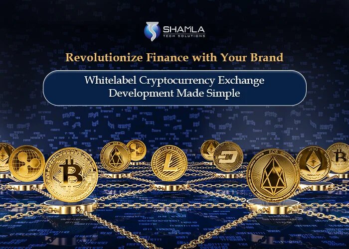 Top 10 White Label Cryptocurrency Exchange Development Platforms: Revolutionising Crypto Trading