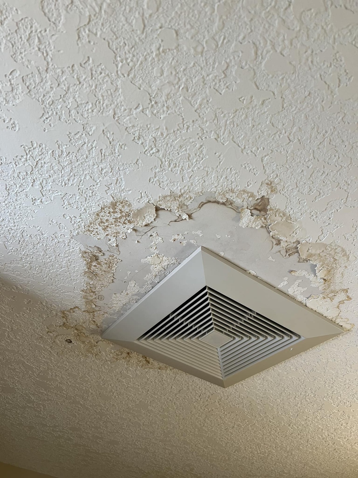 Understanding and Addressing Ceiling Water Stains in Edmonton Homes