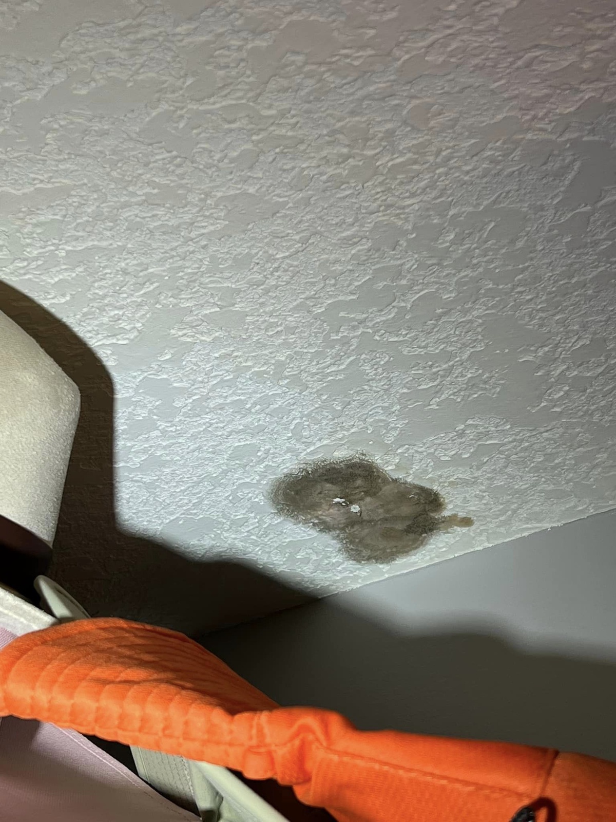 Preventing Attic Hatch Drips: Essential Tips for Edmonton Homeowners