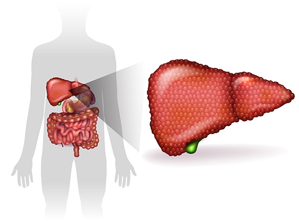 Advancements in Acute Liver Failure Treatment in India: A Beacon of Hope
