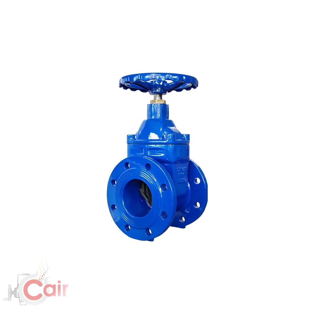 Strength in Design: Advancements in Resilient Gate Valve Technology
