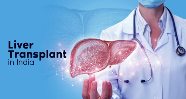 Medical Tourism in India: The Appeal of Liver Transplant Surgery