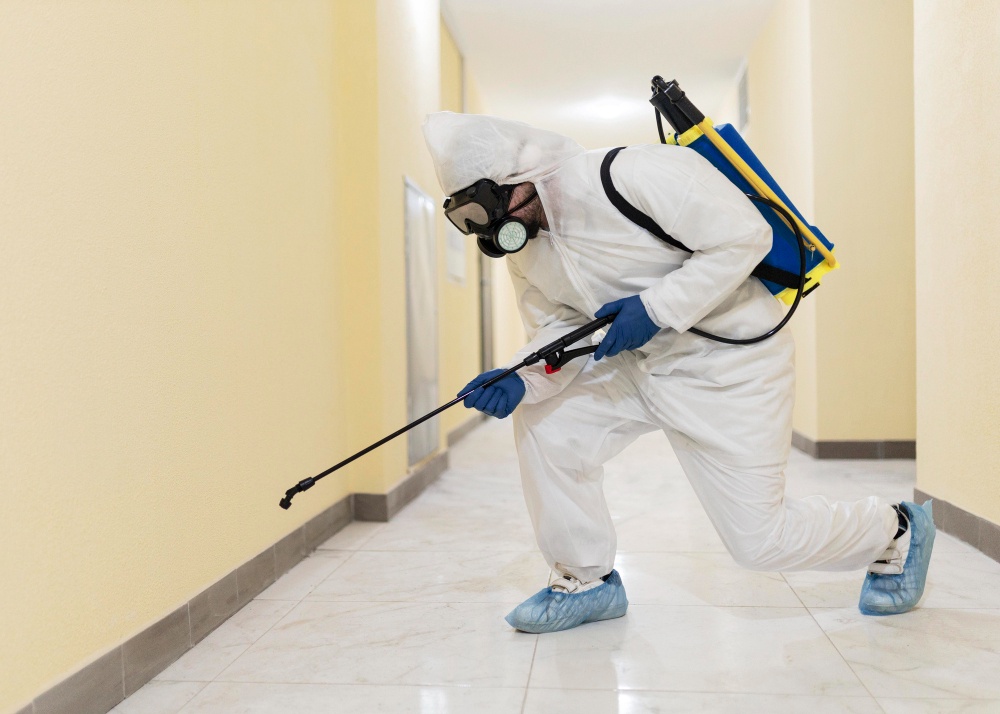 Behind the Scenes: A Day in the Life of a Springvale Pest Control Expert