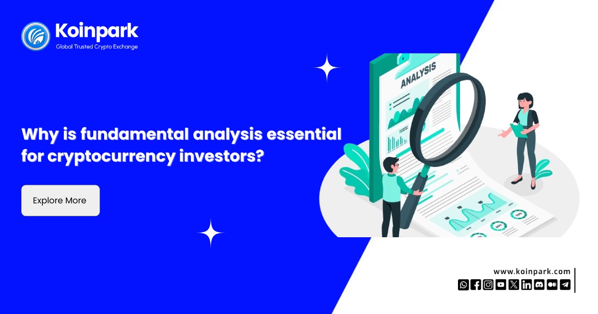 Why is fundamental analysis essential for cryptocurrency investors?